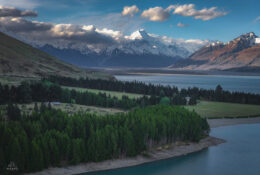 New Zealand 2025 (2 group) (60/84)